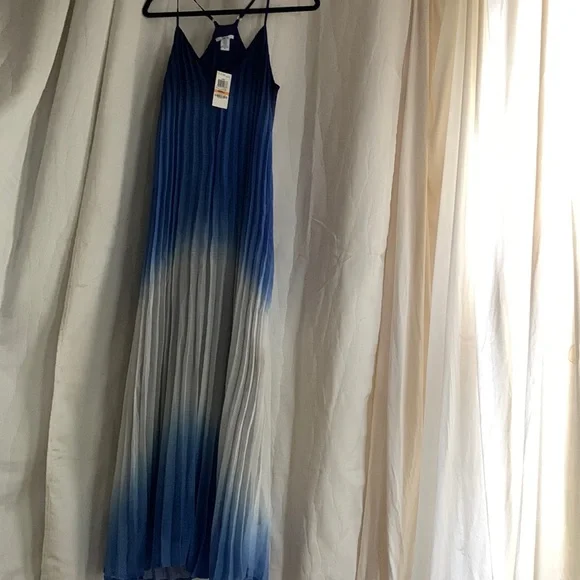 Bar III | Dresses | Bar 11 Ombr Polyester Fully Lined Spaghetti Pleated Maxi  Dress S | Poshmark